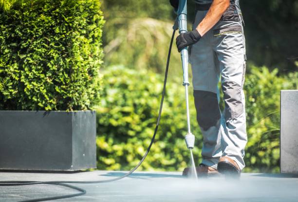 Best Animal Enclosure Cleaning  in Anchorage, AK